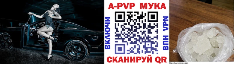 мега tor Краснознаменск А ПВП СК КРИС