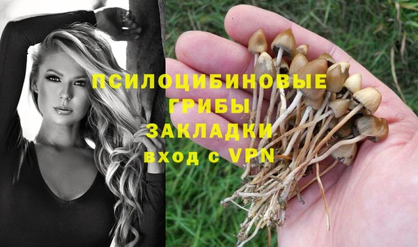 ECSTASY Алексеевка