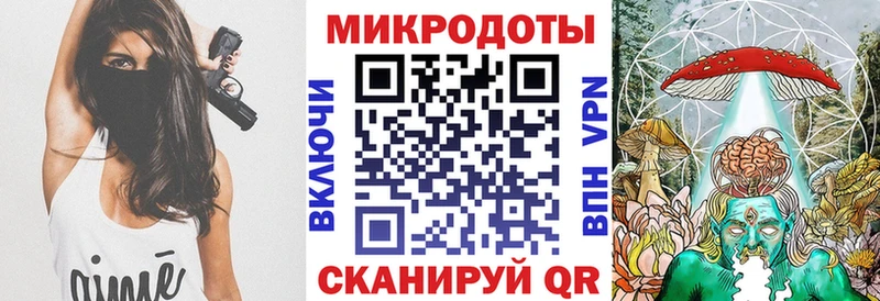 Псилоцибиновые грибы Psilocybe  Краснознаменск 